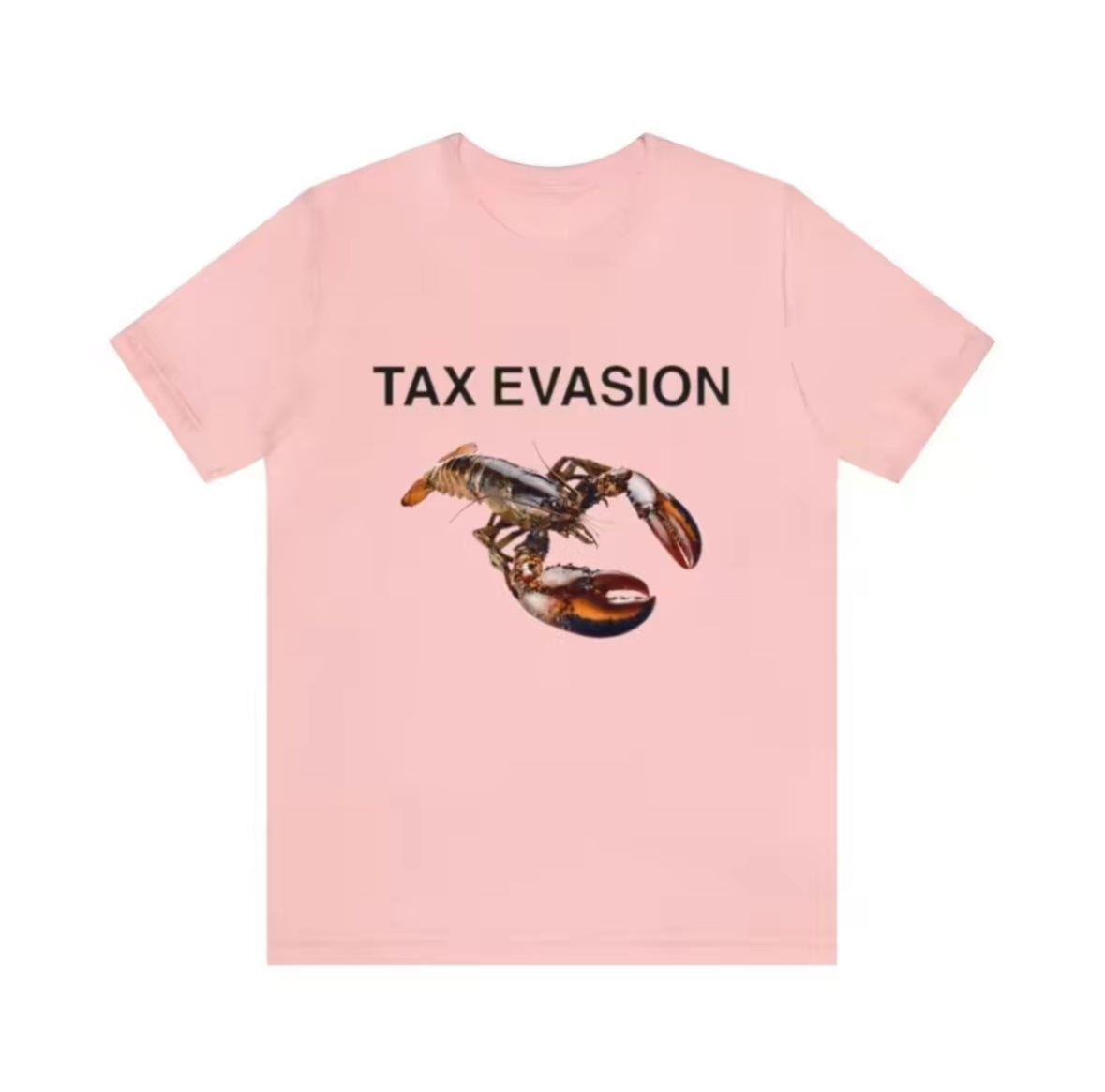 "Tax Evasion" Tee